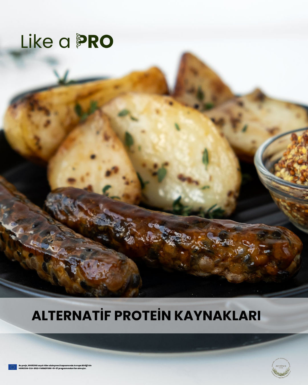Vatandaş Bilimi Uygulamaları Raporu — Like-A-Pro