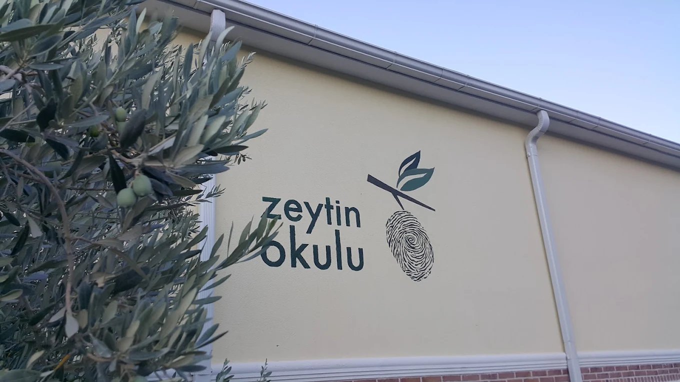Zeytin Okulu