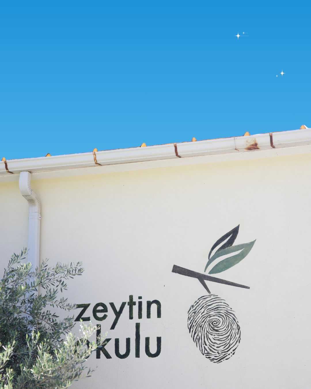 Zeytin Okulu