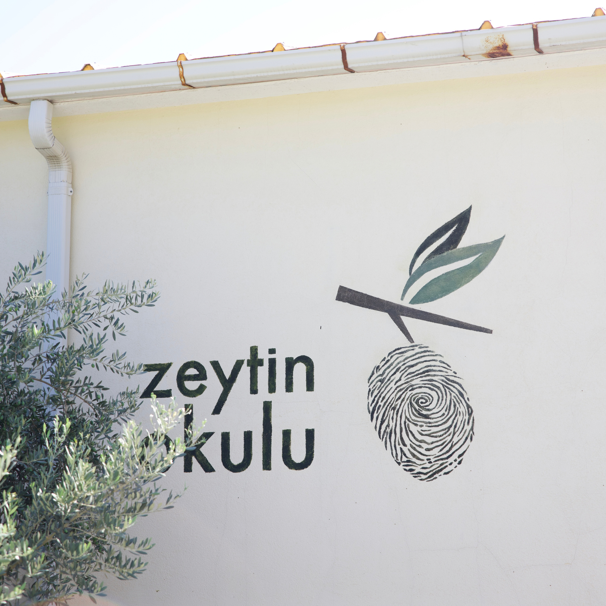 Zeytin Okulu'nun duvarı