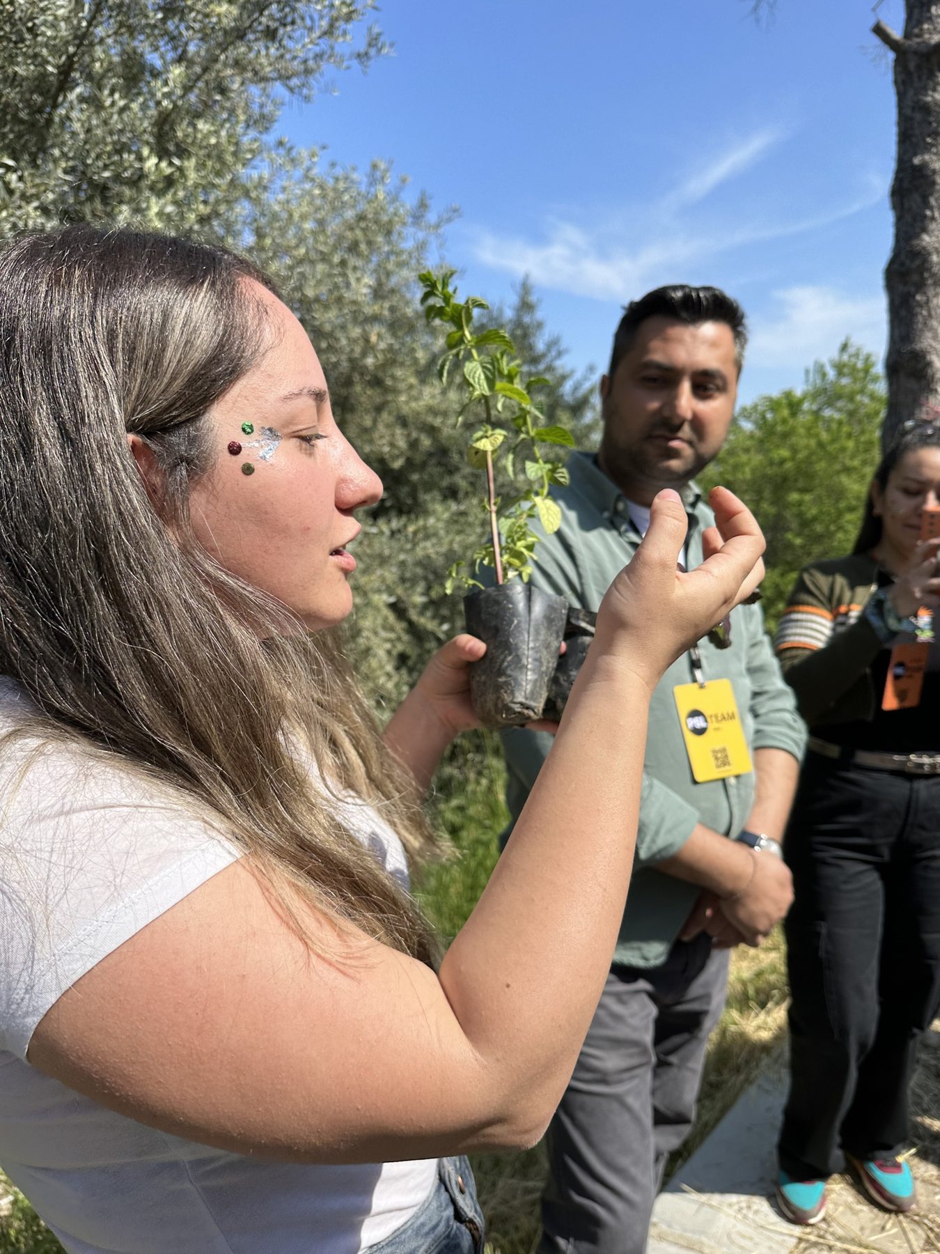 Zeytin ağacının altında bir fideyi inceleyen katılımcılar